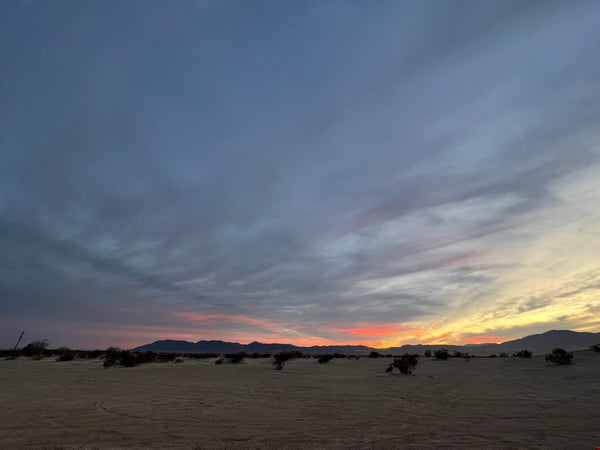 Cruising Anza Borrego